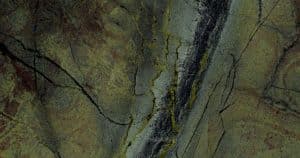 Vitoria-Regia