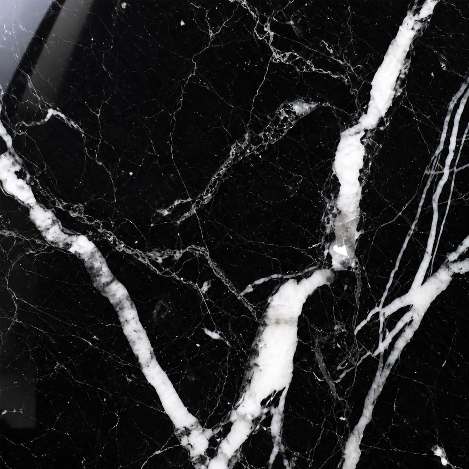 Nero Marquina Marmor mit tiefschwarzer hochglanzpolierter Oberfläche und markanten weißen Natursteinadern